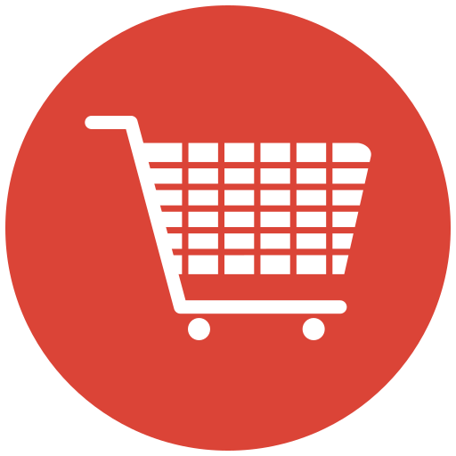 eCommerce Website Development Varanasi